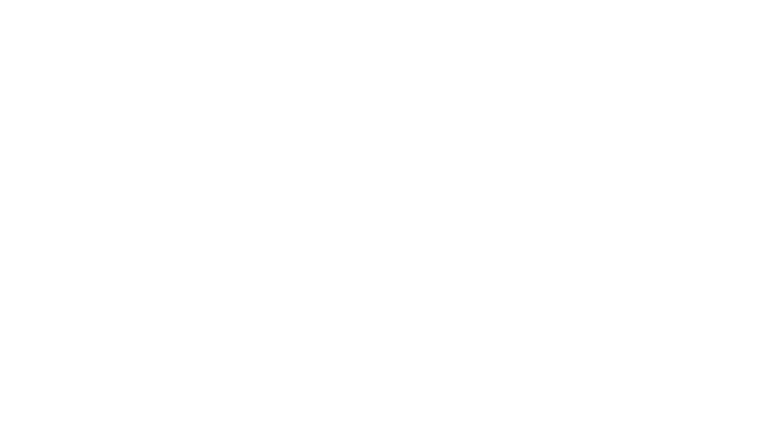 WermSec – Säkerhetsinstallationer & säkerhetslösningar